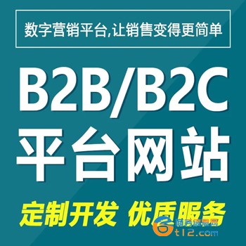 B2B网站建设