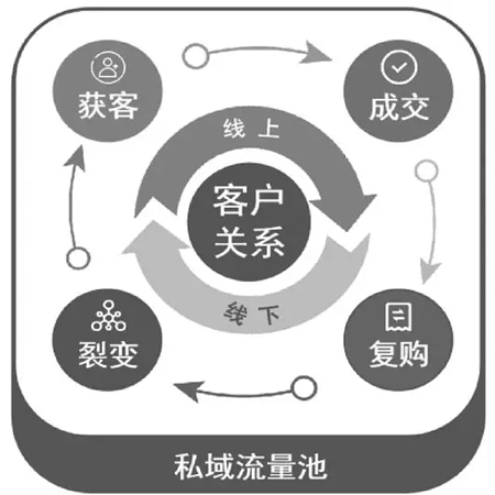 公司营销矩阵代运营托管